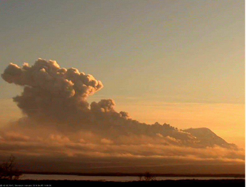 Вулкан Шивелуч на Камчатке выбросил пепел на 6,5 км. Фото Единой геофизической службы Российской Академии наук