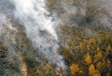 Лесо-торфяной пожар в Орехово-Зуевском районе. Фото ИТАР-ТАСС/ Федор Савинцев